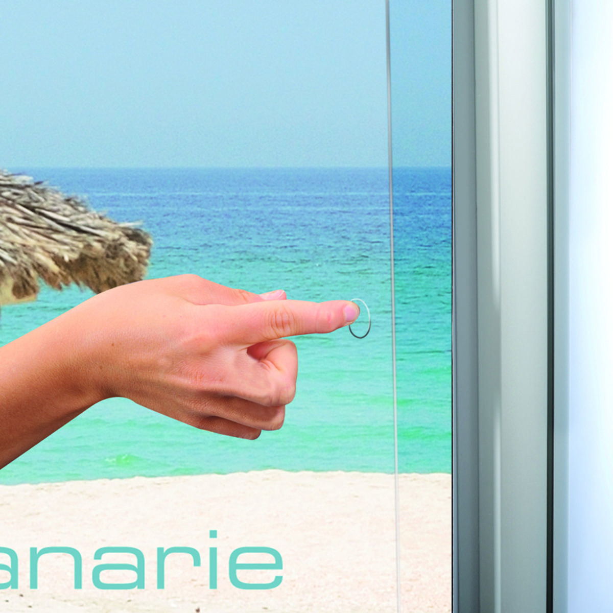 Pylo poster Pylo poster