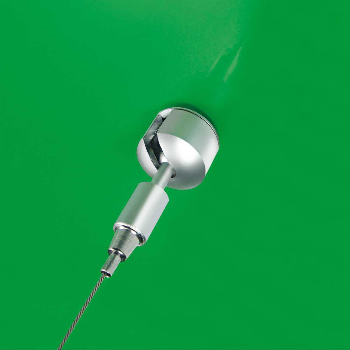 Fly plusmini Fly plusmini