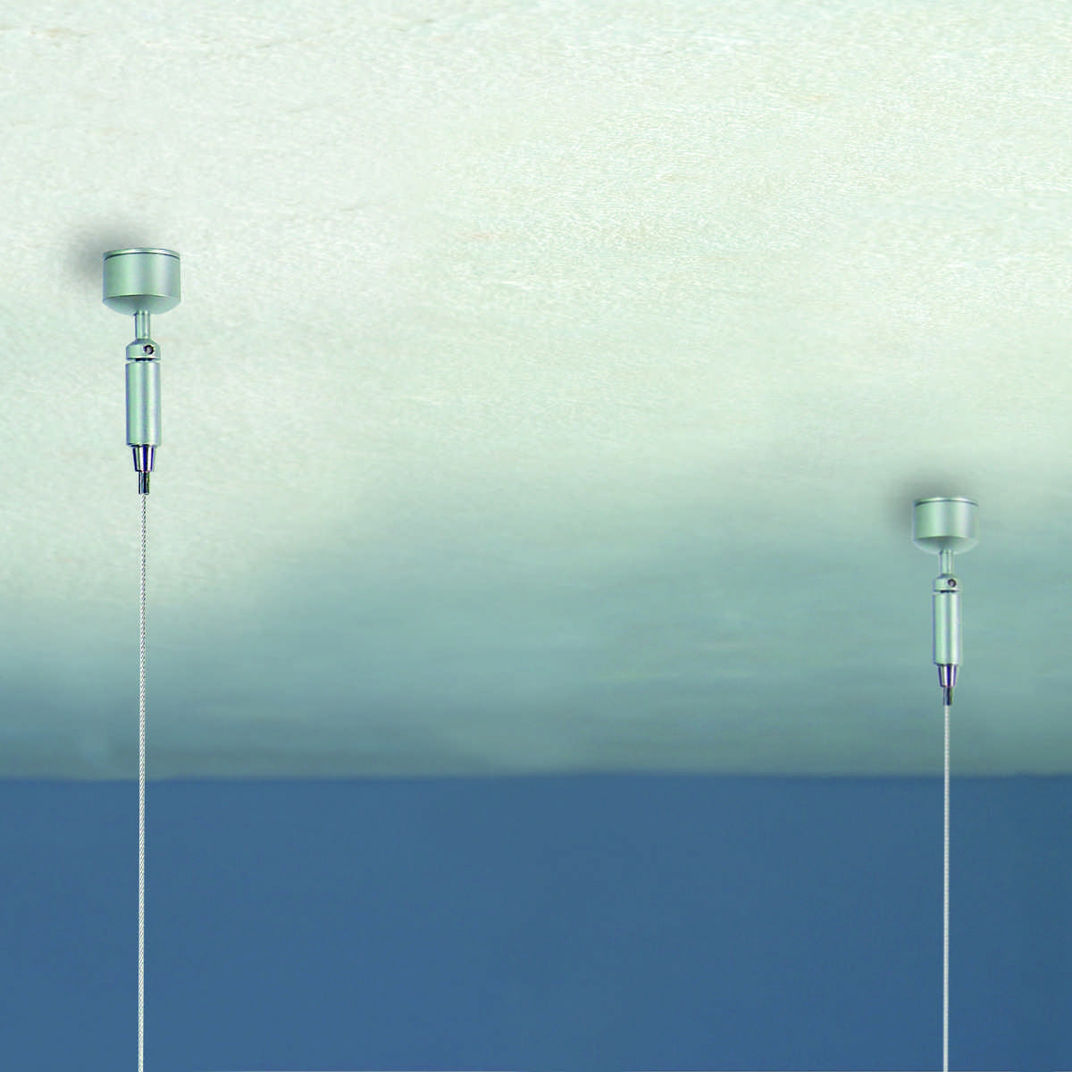 Fly plusmini Fly plusmini