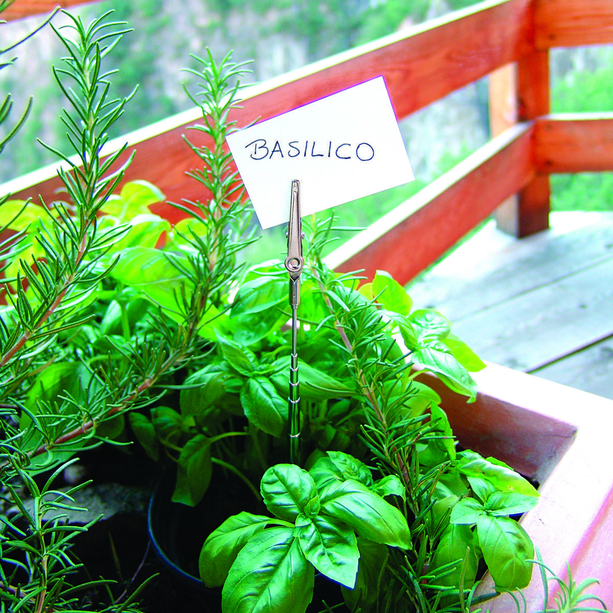 Antenna-base Antenna-base