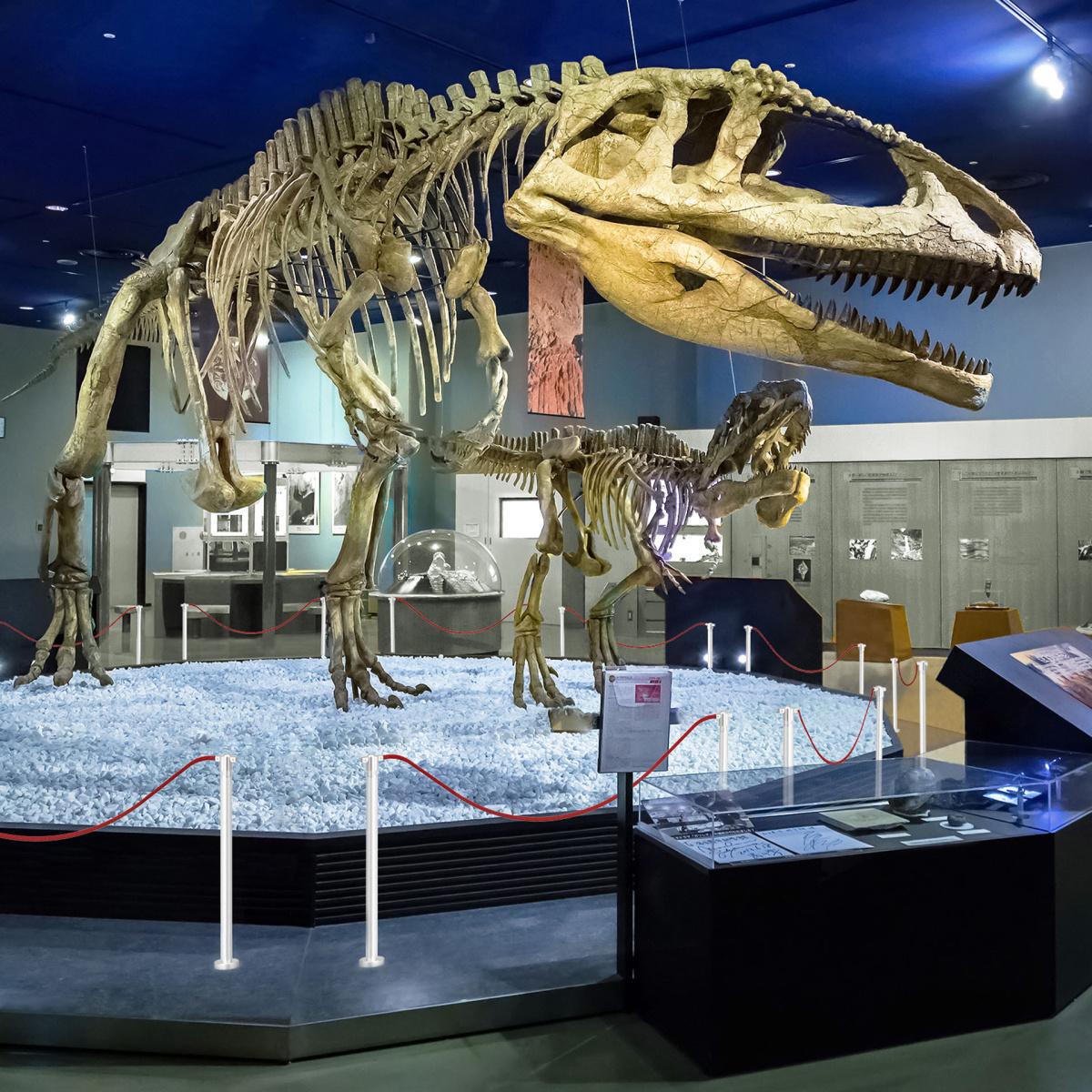 Stopper artex Stopper artex