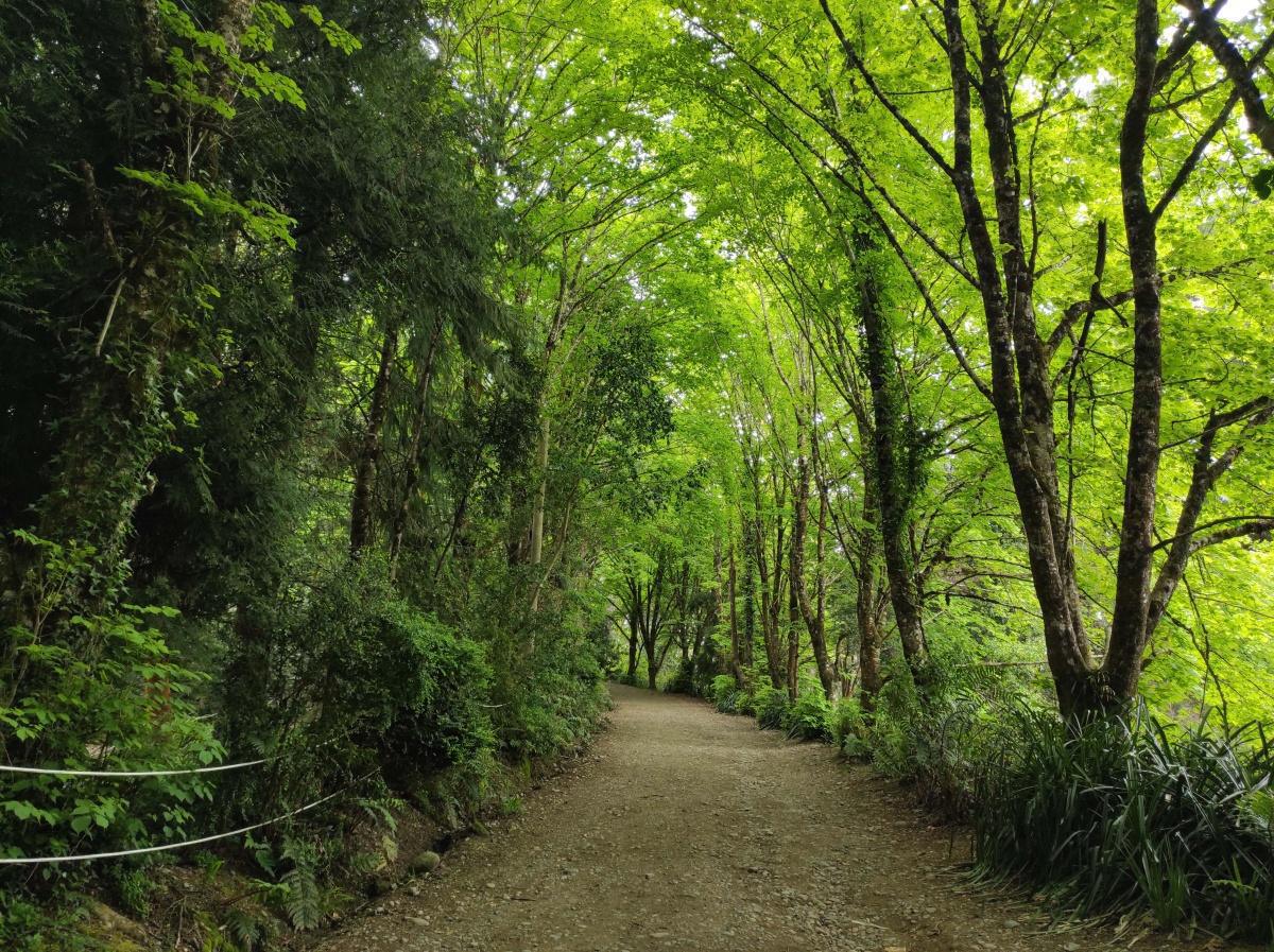 Cerro Philippi Cerro Philippi