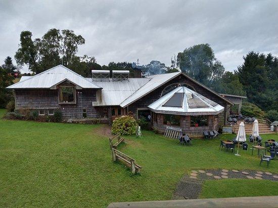 Espantapájaros Espantapájaros