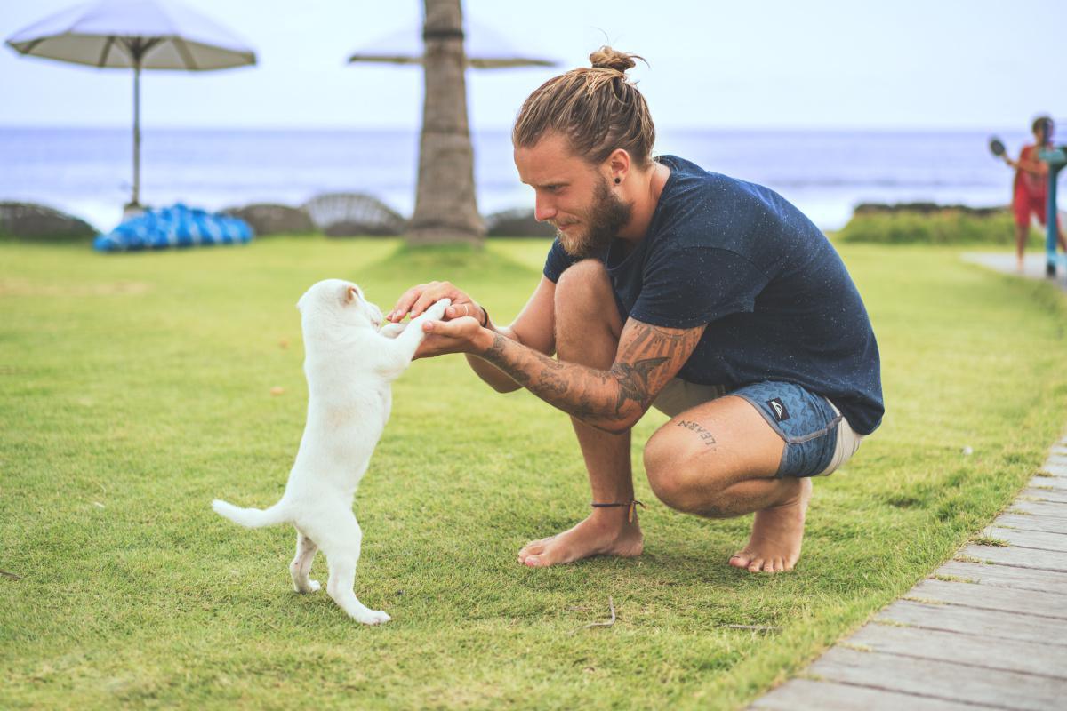 The science behind being a dog person The science behind being a dog person