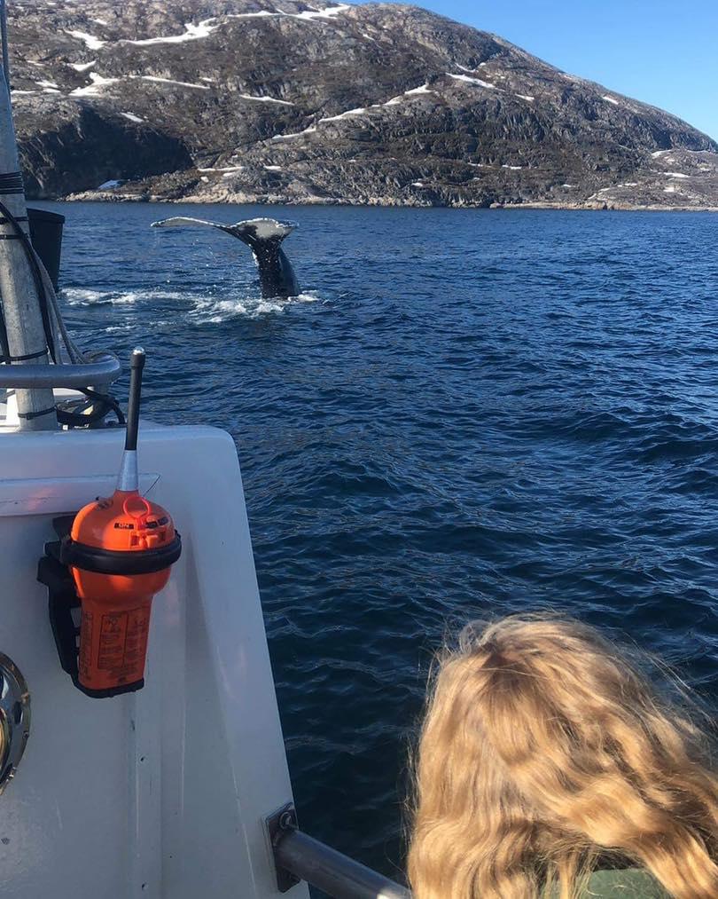 Nuuk Outdoor Nuuk Outdoor