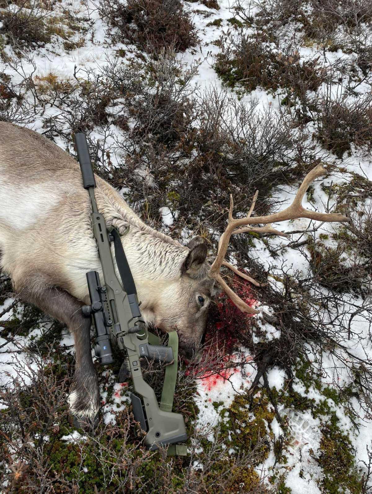 Uppik Adventure Uppik Adventure