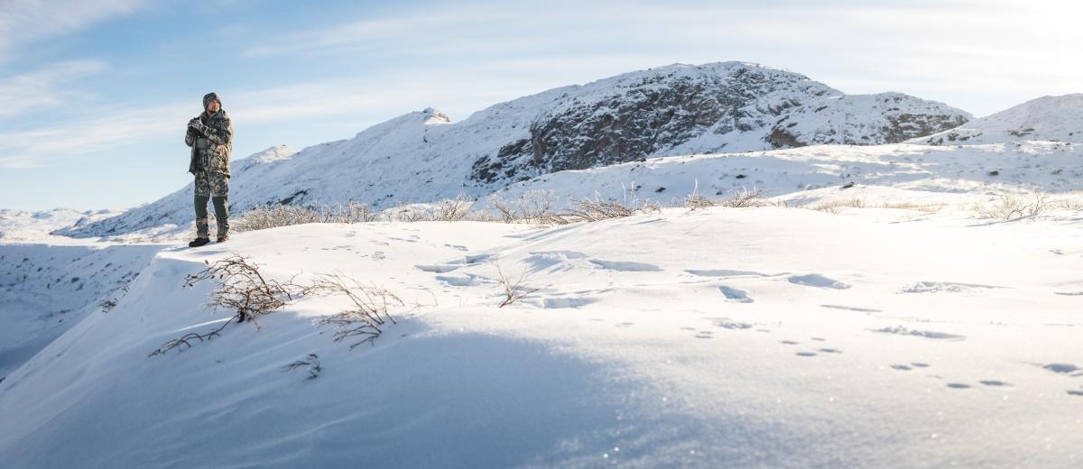 Lings Hunting Greenland