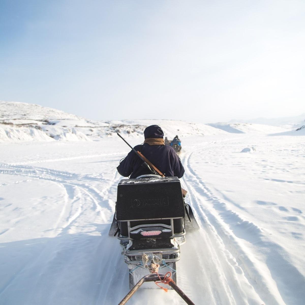 Lings Hunting Greenland
