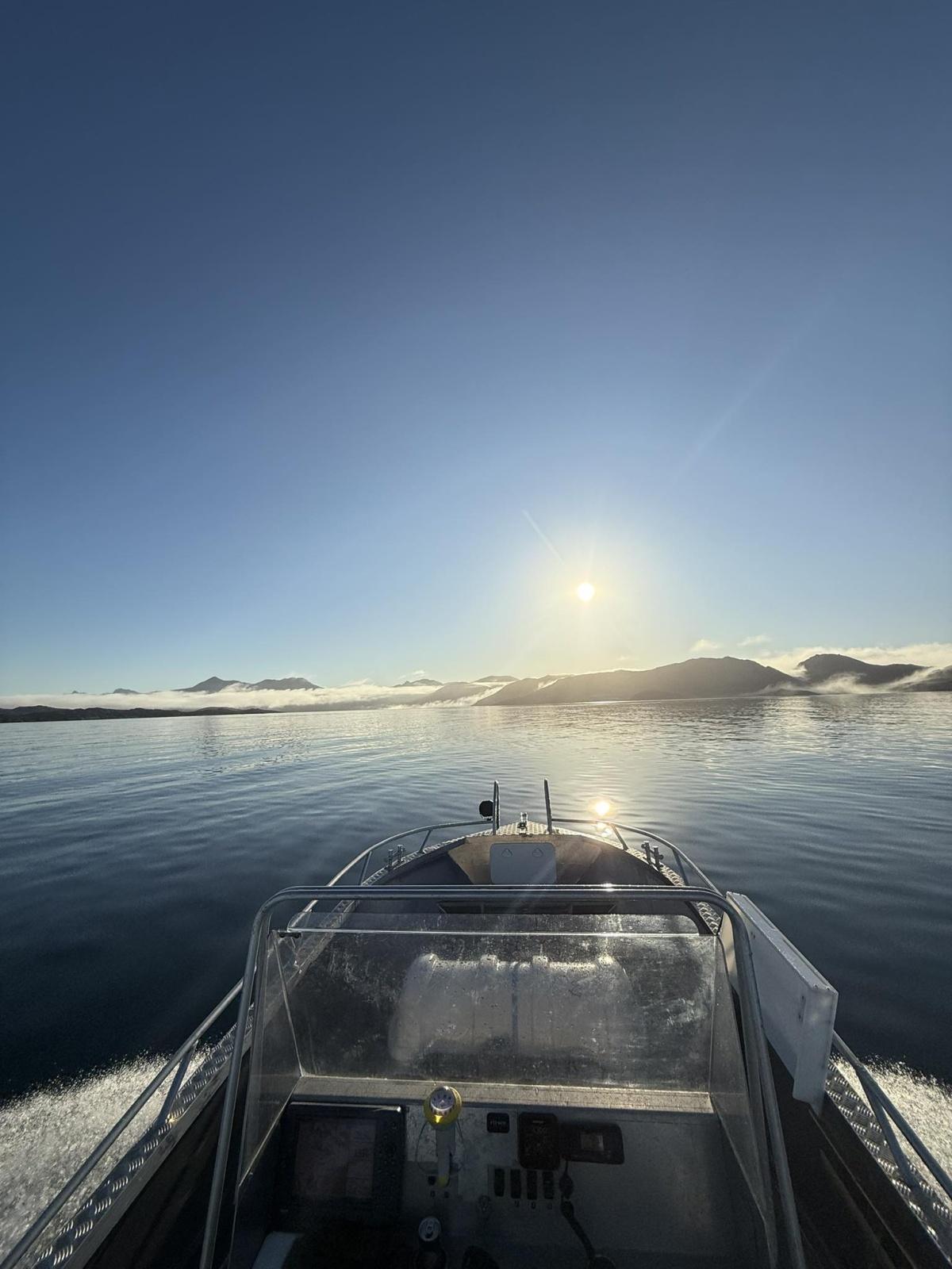 Arctic Nanu Tours Arctic Nanu Tours