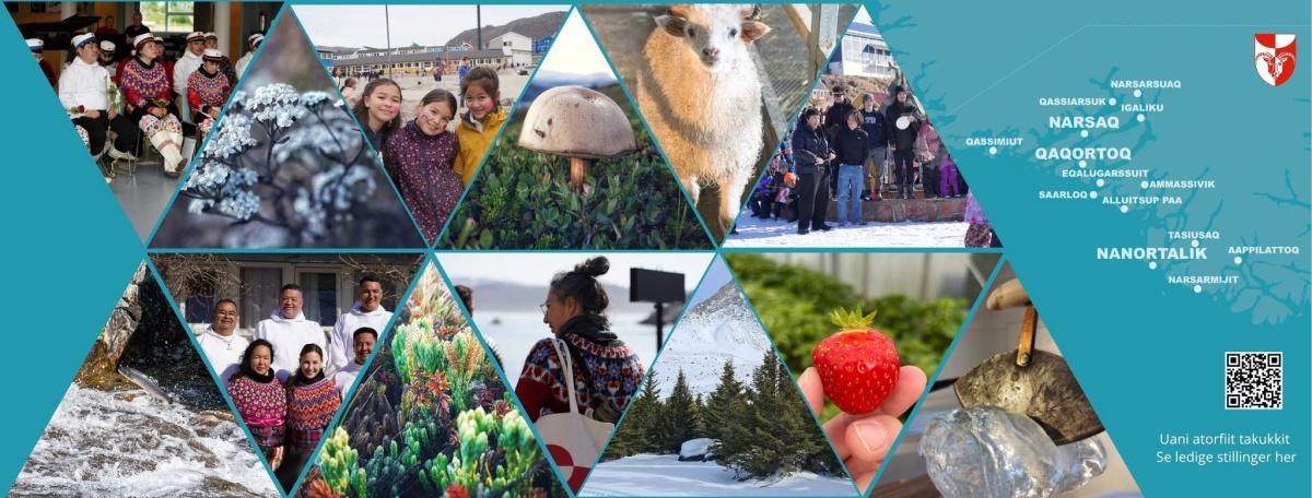 Frivilligt arb. i Qaqortoq/ Kalaallisut immiussaq ikkussami allami takusinnaavat/ Volunteers working in Qaqortoq