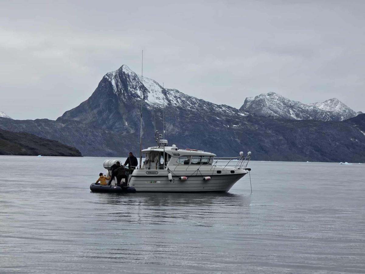 Greenland Local Tours Greenland Local Tours