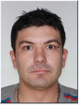 David Ménard 