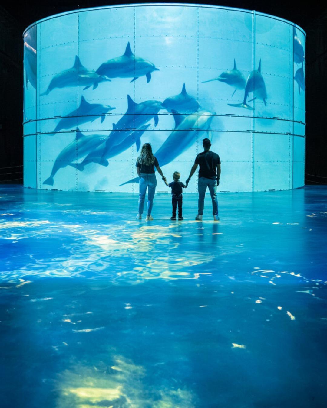 Le bassin des lumières