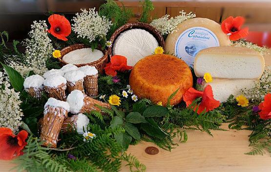 Caseificio Catrambone Caseificio Catrambone