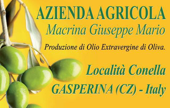 Azienda Agricola Macrina Azienda Agricola Macrina