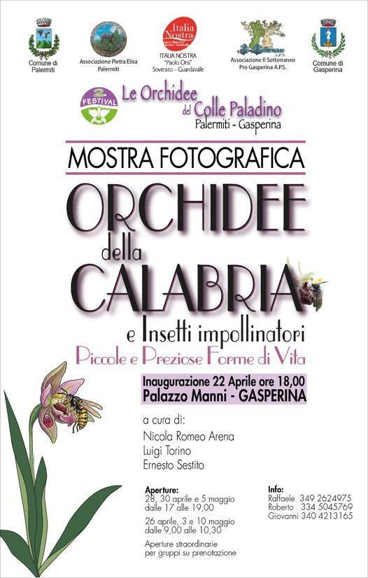 Inaugurazione mostra fotografica "Orchidee della Calabria" (inizio ore 18.00)