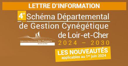 Lettre d’information SDCG