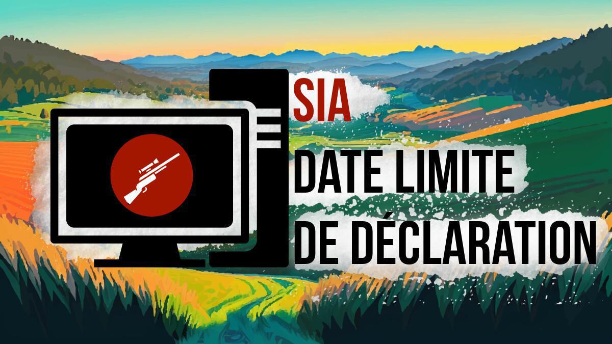 SIA – Création de compte obligatoire avant le 31 décembre 2024 SIA – Création de compte obligatoire avant le 31 décembre 2024