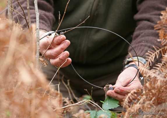 Formation - Piégeage 🪤 Formation - Piégeage 🪤