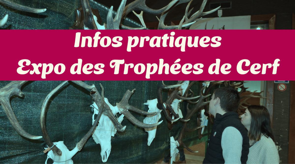 L’exposition des trophées de cerf approche à grands pas !