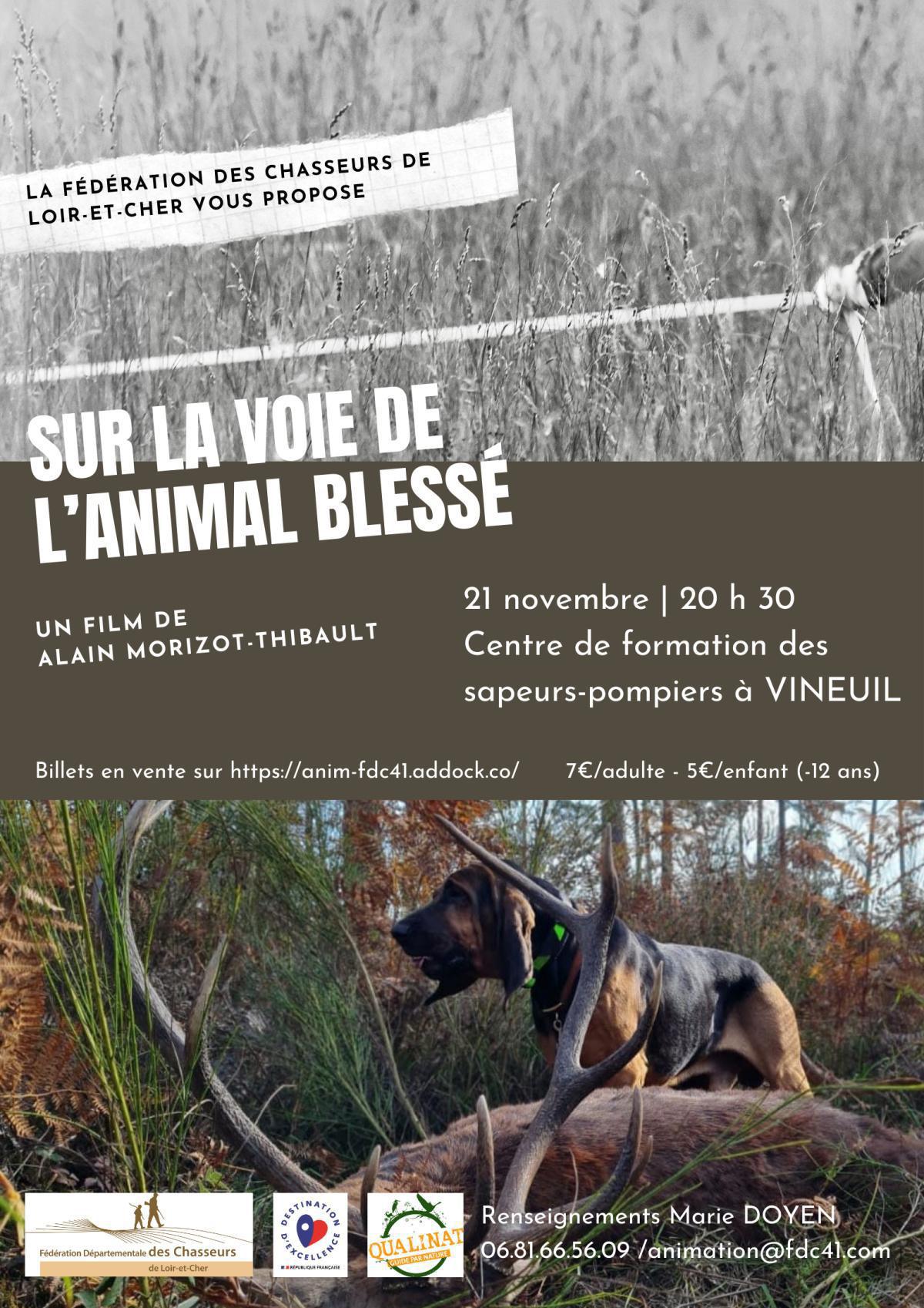 🎬 Projection : Sur la voie de l’animal blessé 