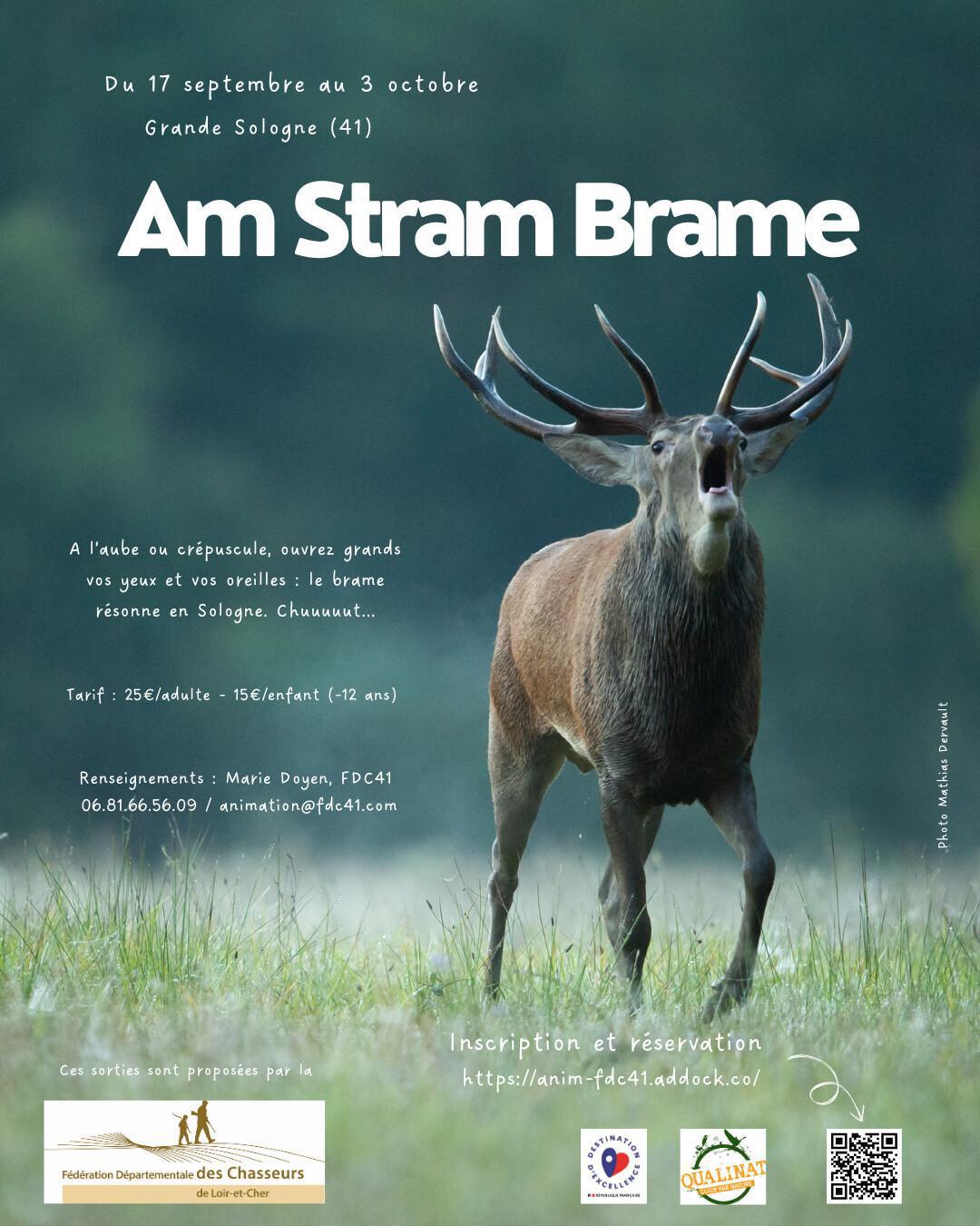 Am Stram Brame 🦌