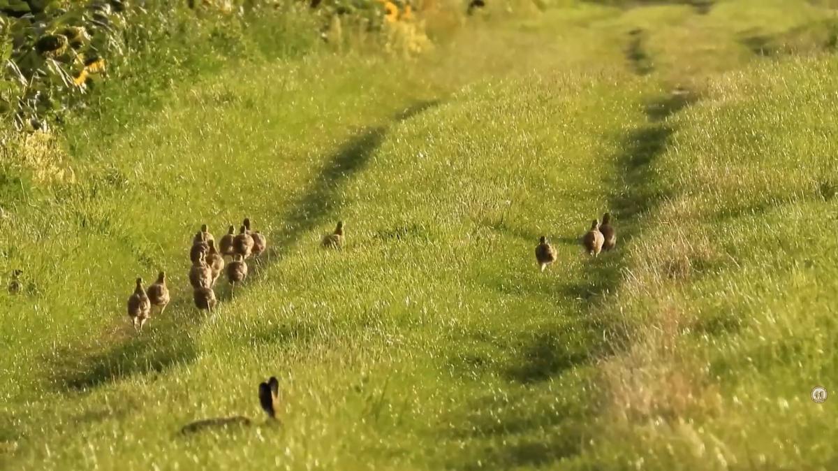 En août, la période d'échantillonnage commence ! En août, la période d'échantillonnage commence !