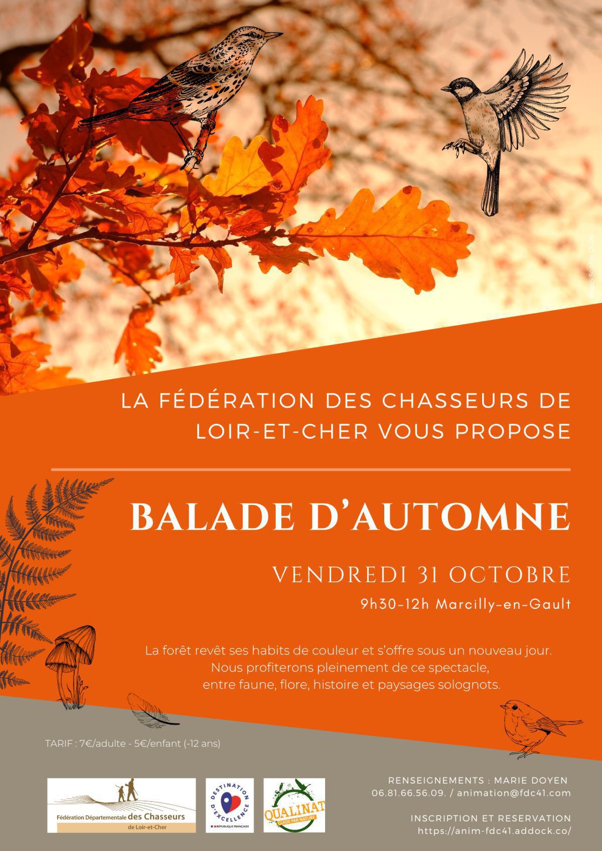 Balade d’automne 🍂