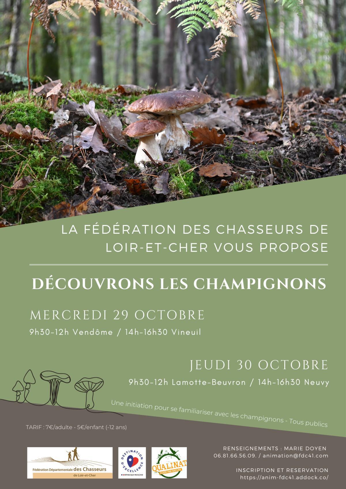 Découvrons les champignons 🍄