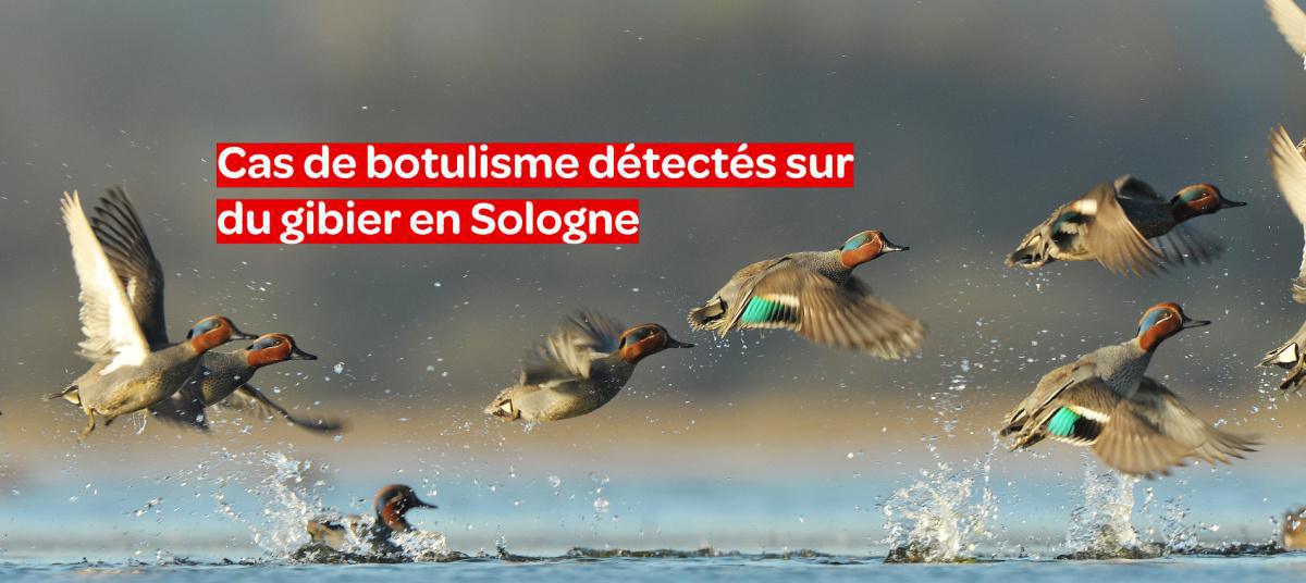 🦠Des risques à considérer avec sérieux ! 🦠Des risques à considérer avec sérieux !