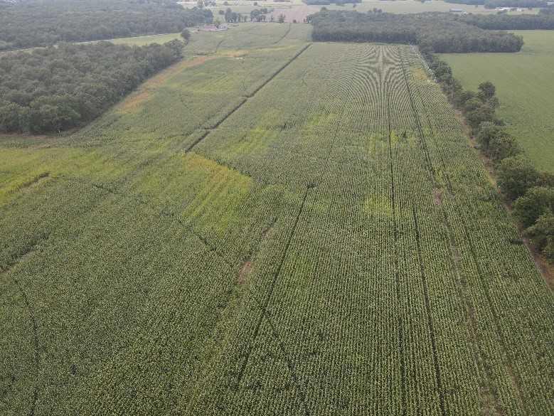 Tir autour des parcelles en cours de récolte
