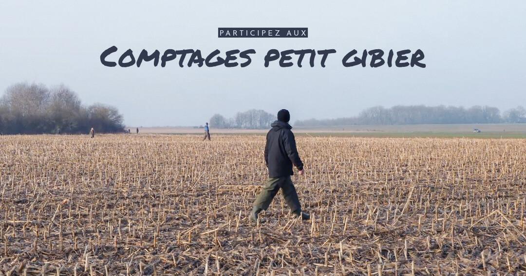 🪶Comptages petit gibier