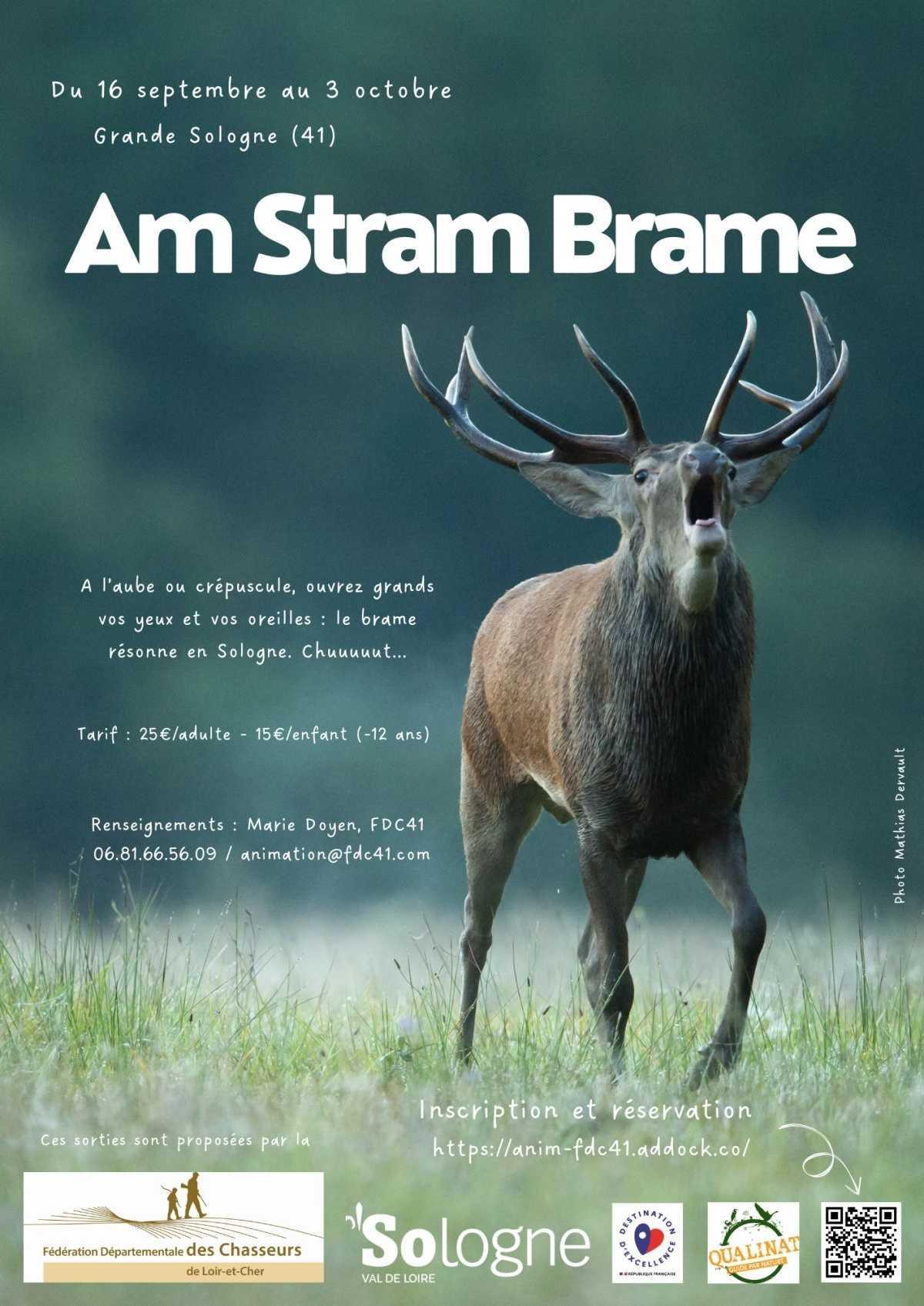 Am Stram Brame : à l’écoute du cerf en Sologne Am Stram Brame : à l’écoute du cerf en Sologne