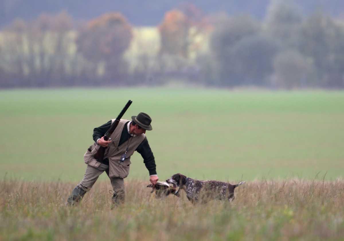 Challenge National Chasseurs de France : inscrivez-vous à la sélection départementale Challenge National Chasseurs de France : inscrivez-vous à la sélection départementale