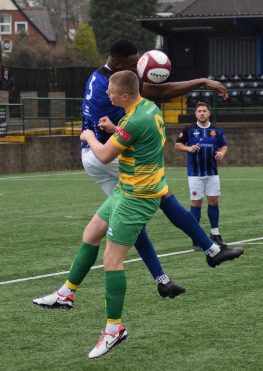 Linnets aim to clip Avro's wings