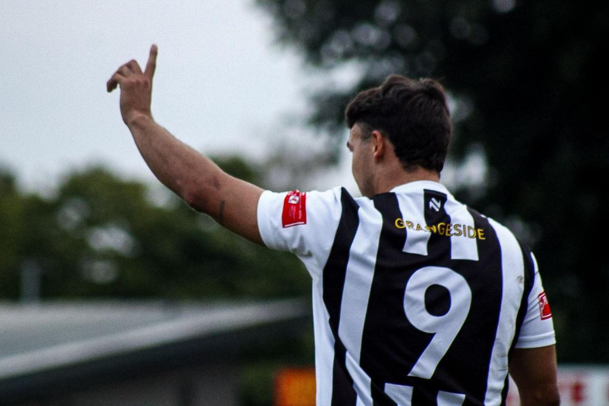 Linnets seek more success on happy hunting ground