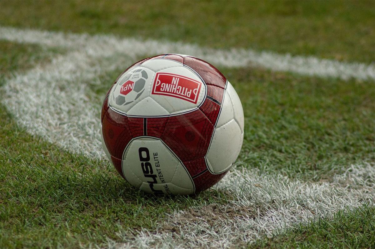 Linnets seek more success on happy hunting ground