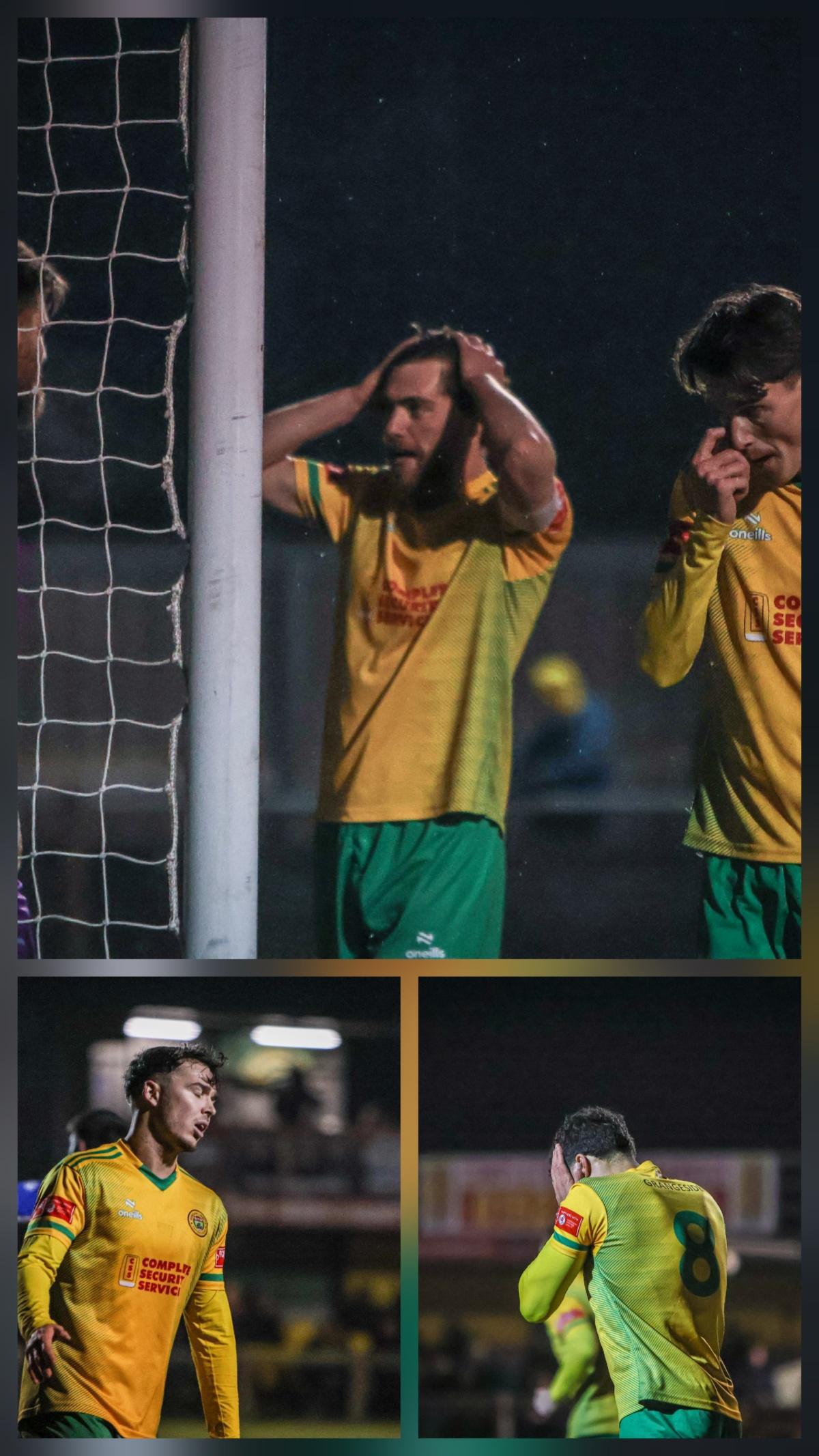 Last-gasp Linnets on top of the pile!
