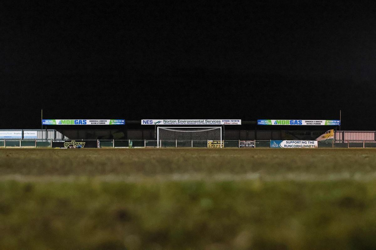 Last-gasp Linnets on top of the pile!