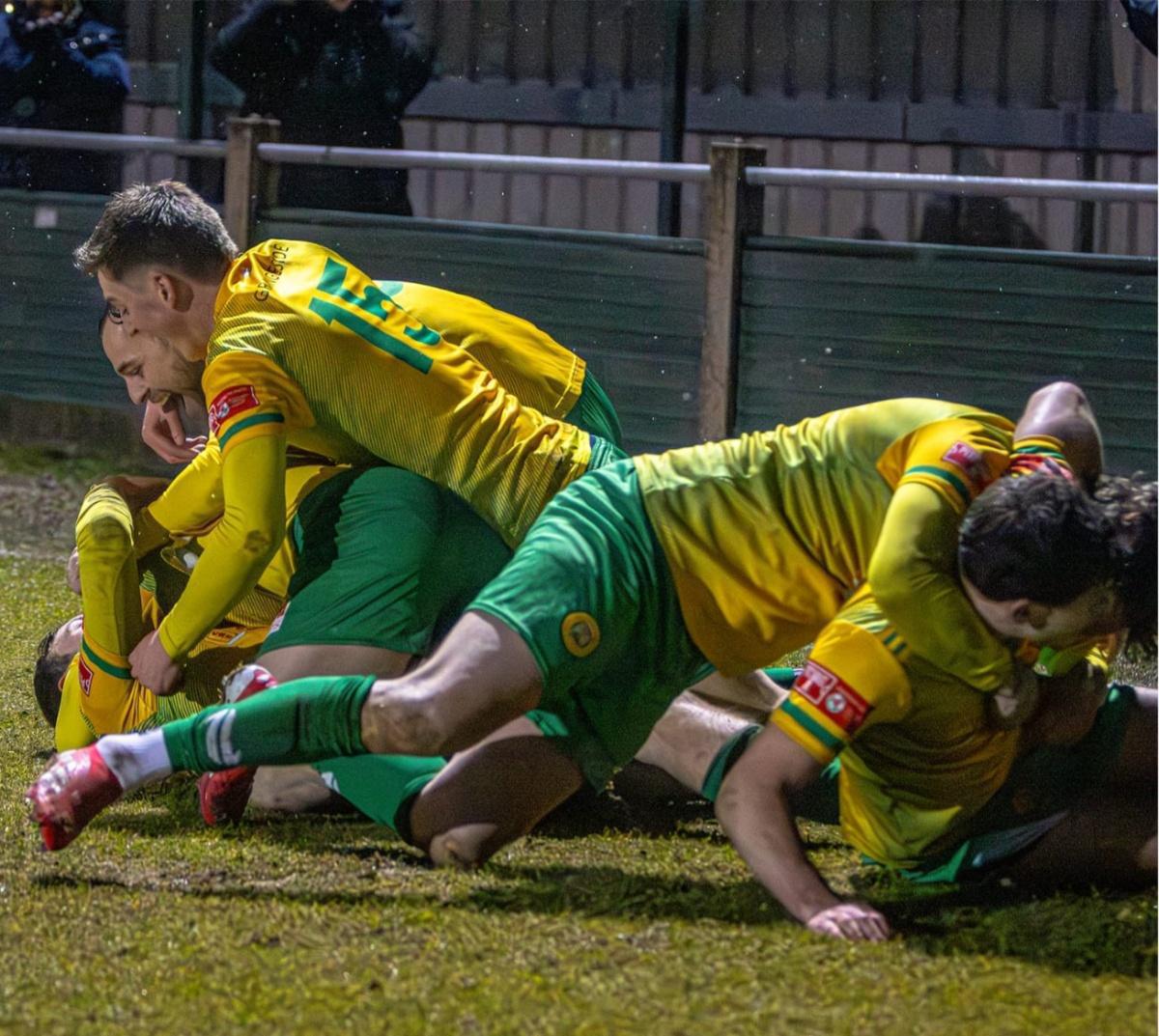 Last-gasp Linnets on top of the pile!