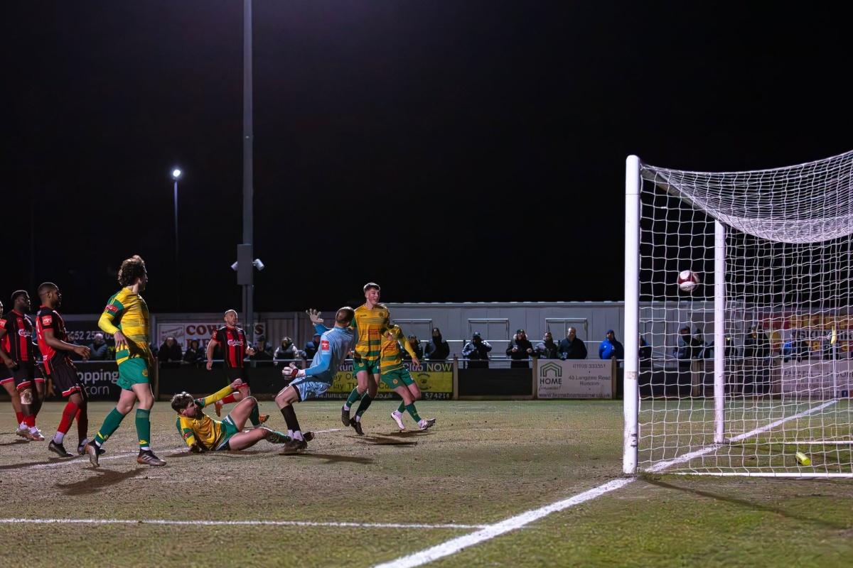 Linnets ready to roar in run-in