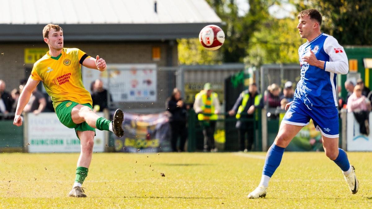 Linnets seek the perfect birthday present Linnets seek the perfect birthday present
