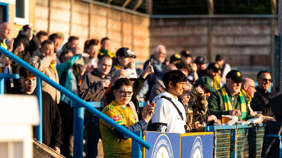 Luckless Linnets fall in play-offs again