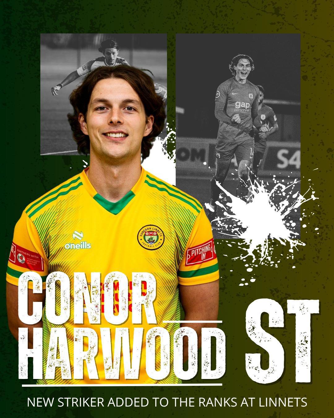 👀✍️| HARWOOD BOLSTERS OUR ATTACK