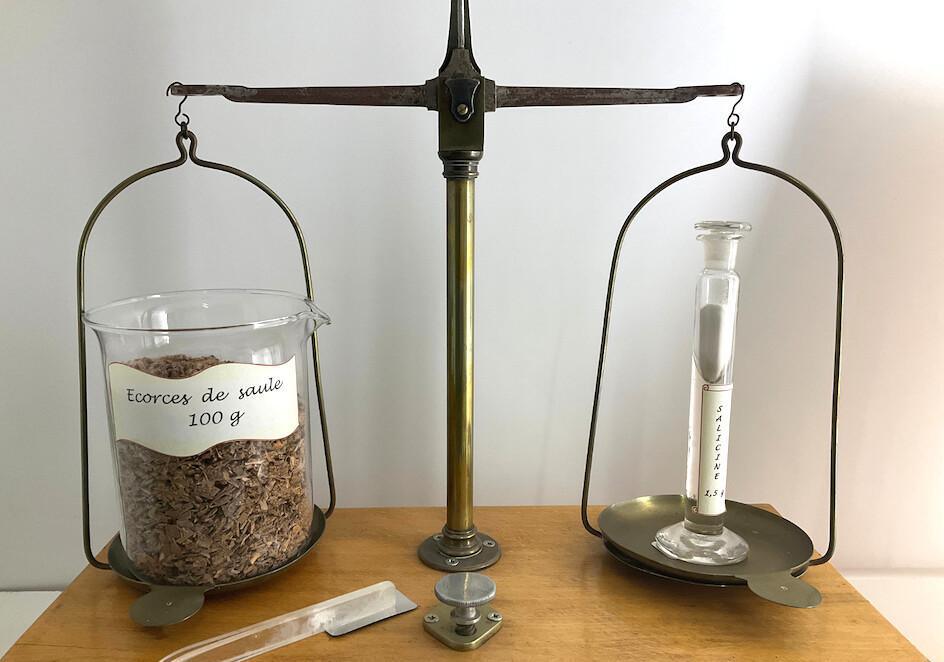 De l’écorce de saule à l’Aspirine De l’écorce de saule à l’Aspirine