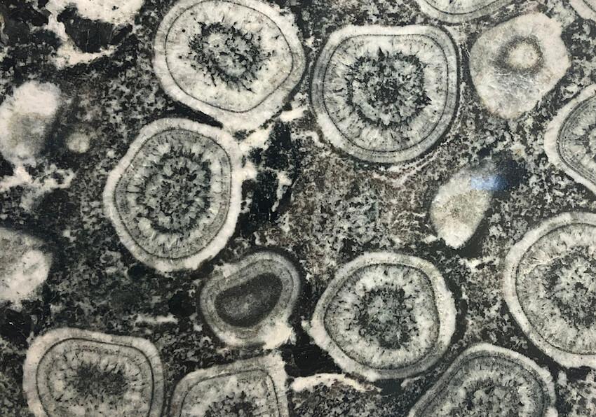 Napoléonite, la pierre au cœur rond Napoléonite, la pierre au cœur rond