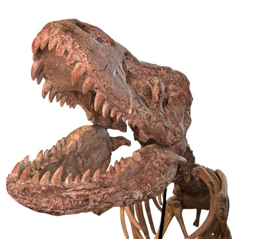 Un Tyrannosaure dans la salle d’attente