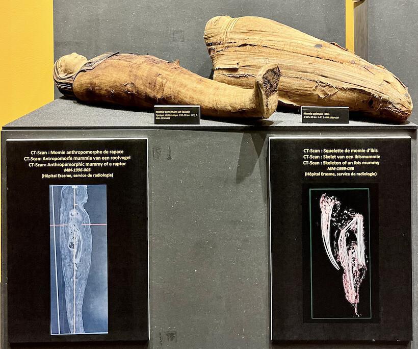 Les portes du Nouveau Monde Les portes du Nouveau Monde