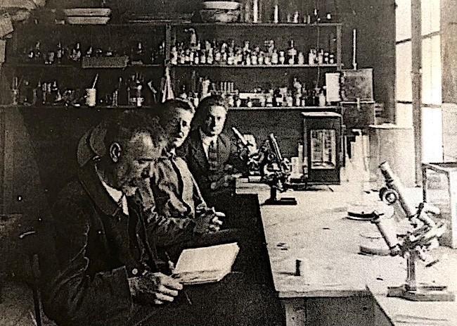 Un microscope ancien, une optique moderne