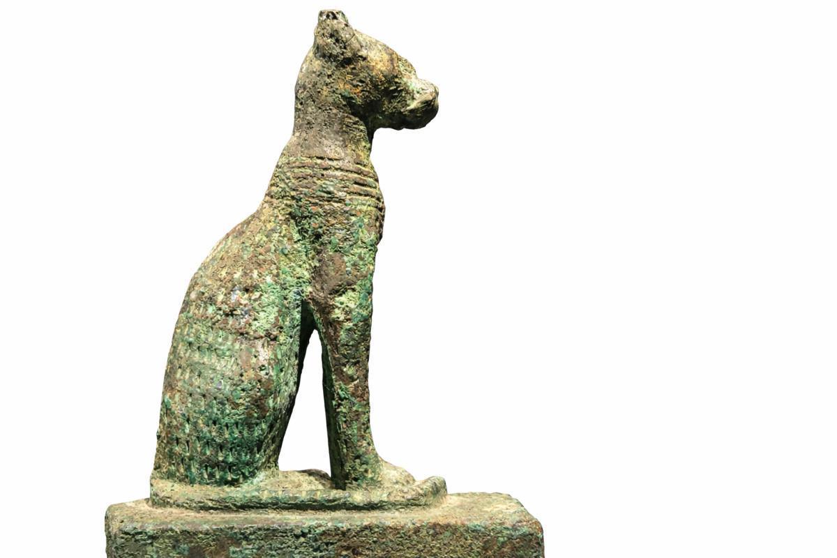 De mjw à chat De mjw à chat